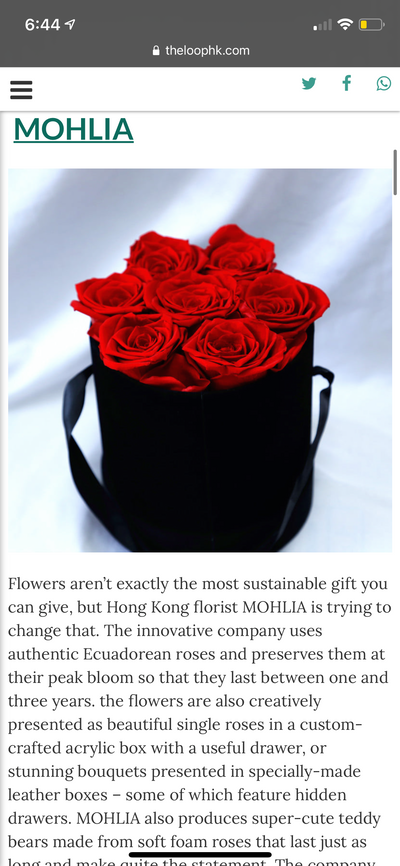 Best Florists in Hong Kong - The Loop