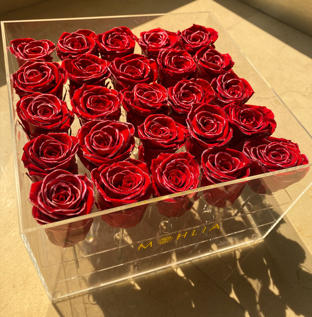 How To Take Care Of Your Infinity Flowers – MOHLIA
